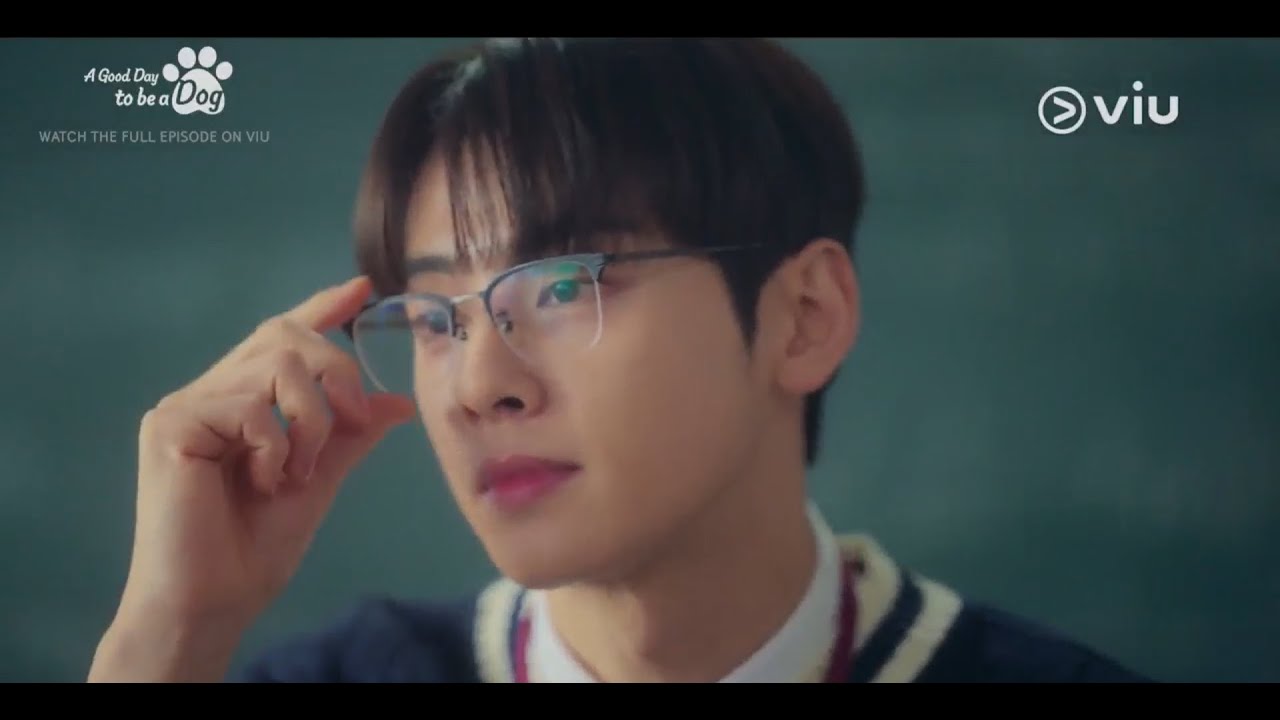 Jin Seo Won is The Best Math Professor! 😍 | A Good Day To Be A Dog | Viu