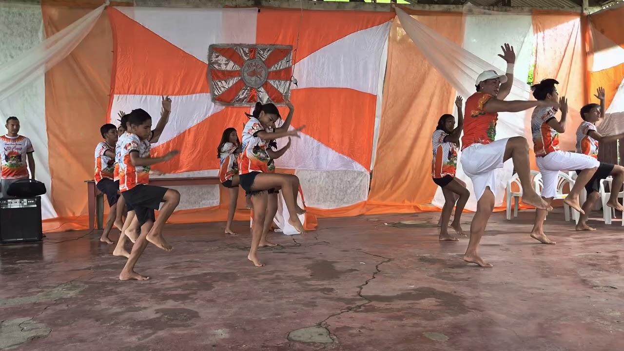 Porta-Estandarte Coreografia Jaraqui da Escama Fina 2025