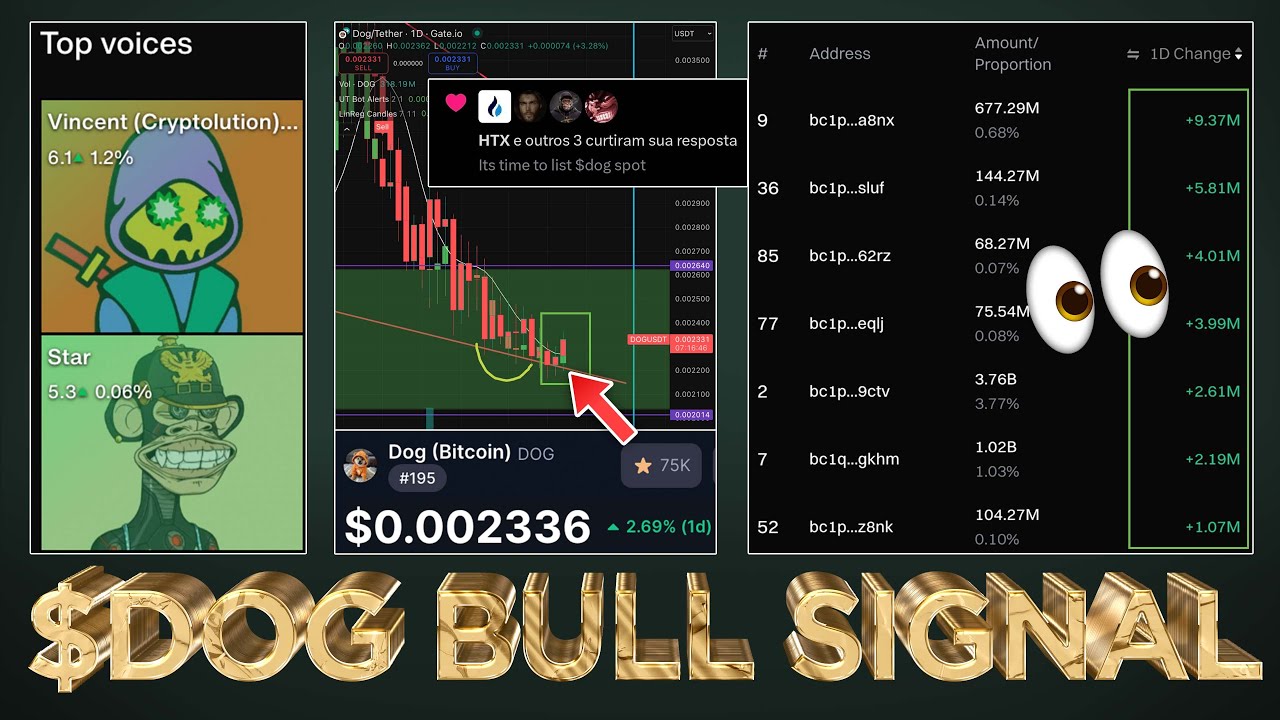 $DOG Bullish Indicators 📊 What Happen's Next?