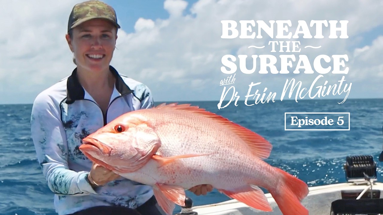 Beneath the Surface | Ep 5: Inside the home of the Large-mouth Nannygai