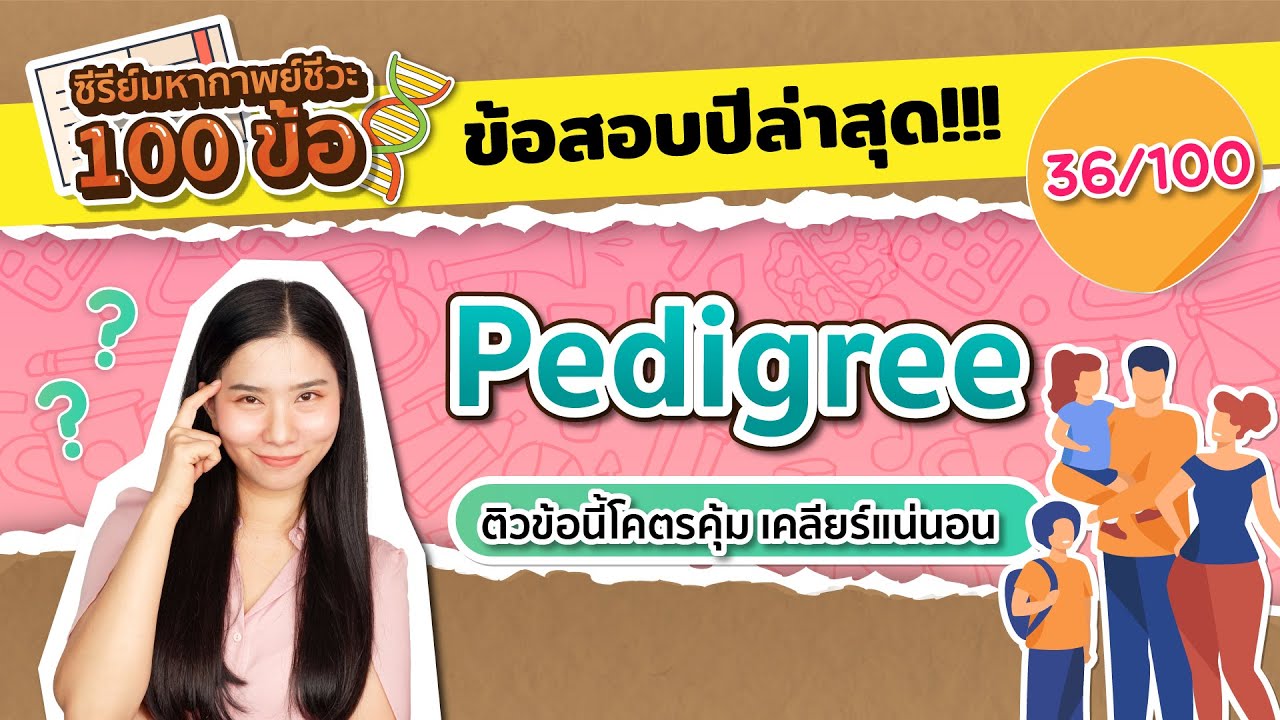 ติวฟรี ชีวะ 36/100 : Pedigree ติวข้อนี้โคตรคุ้ม เคลียร์แน่นอน ! : ชีวะครูฝ้าย