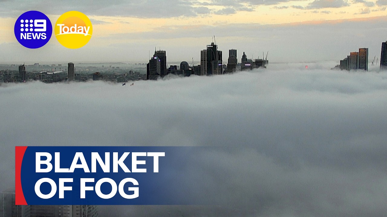 Blanket of fog coats Sydney | 9 News Australia