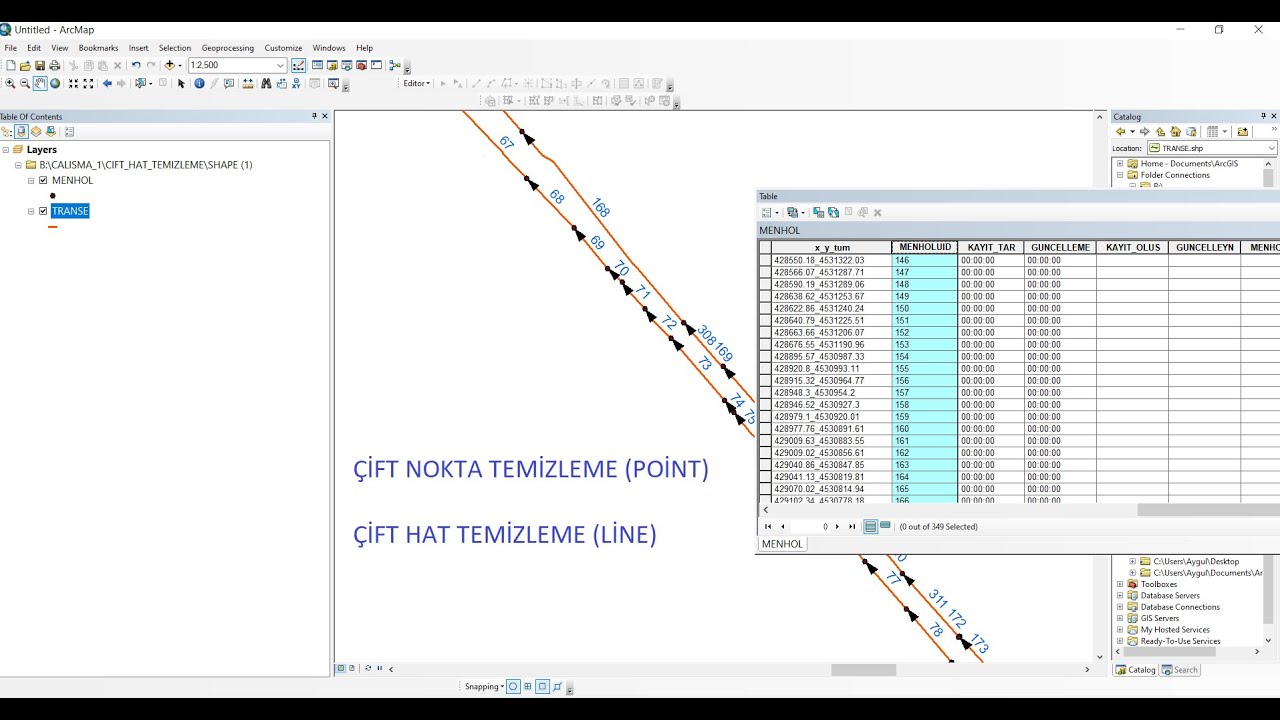 ARCGİS - ARCMAP DA ÇİFT NOKTA (POİNT) VE HATLARI TEMİZLEME (LİNE)