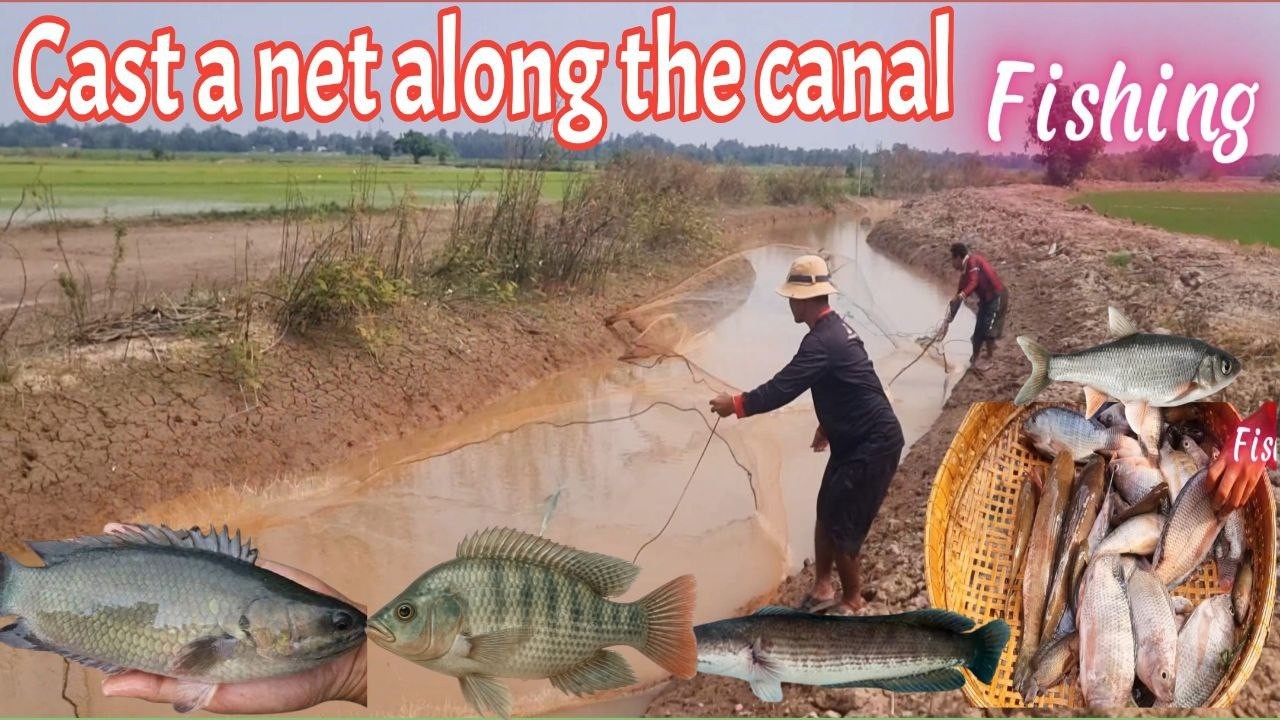 Cast a net along the canal.