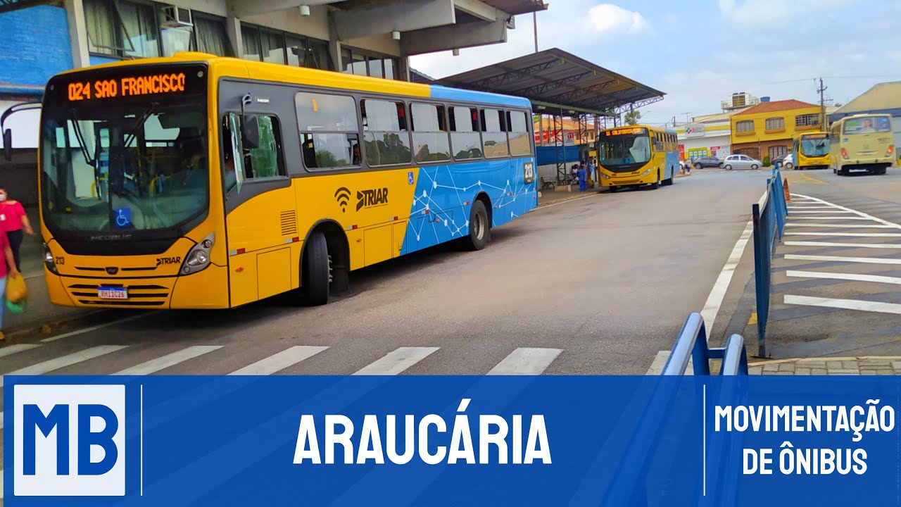 #MOVIMENTAÇÃO(20) - Araucária