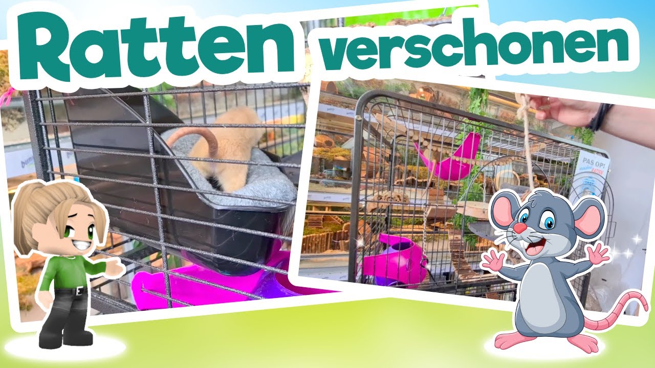 🐭 Ratten verschonen Hennep Mat & Plassteen 💧