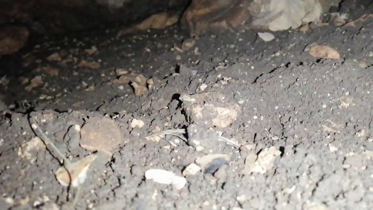 الجزء الثاني دخول المغاره وفحصها من الداخل من حفر مباشر على مغاره شوفوا شو صار تابع للنهايه