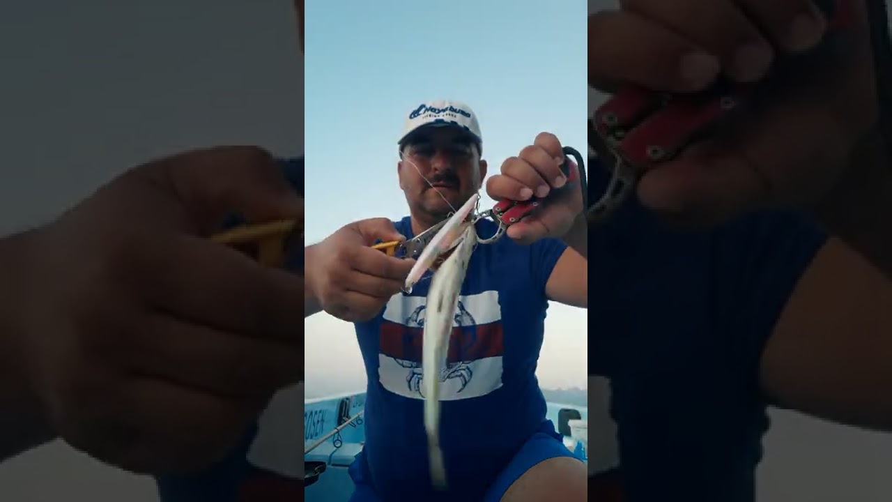 KUZU SALIM AMBERJACK