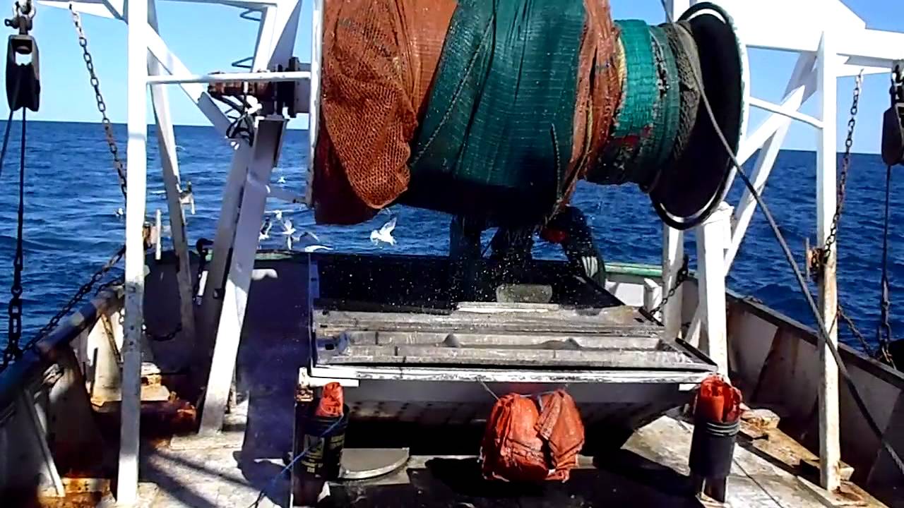 levé d'un CHALUT de crevette