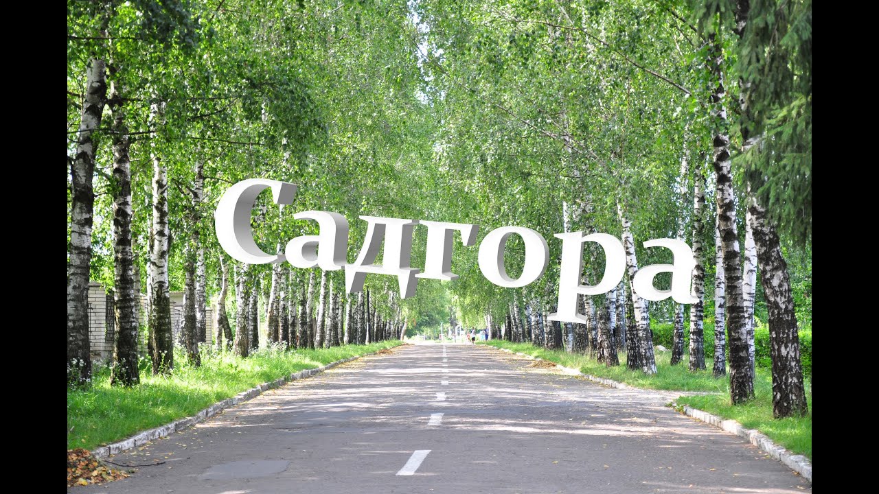 Садгора 2013