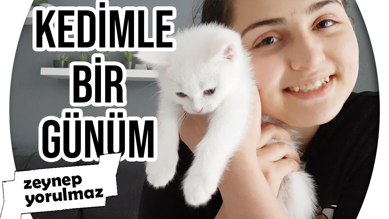 KEDİM İLE BİR GÜNLÜK RUTİNİM Zeynep Yorulmaz