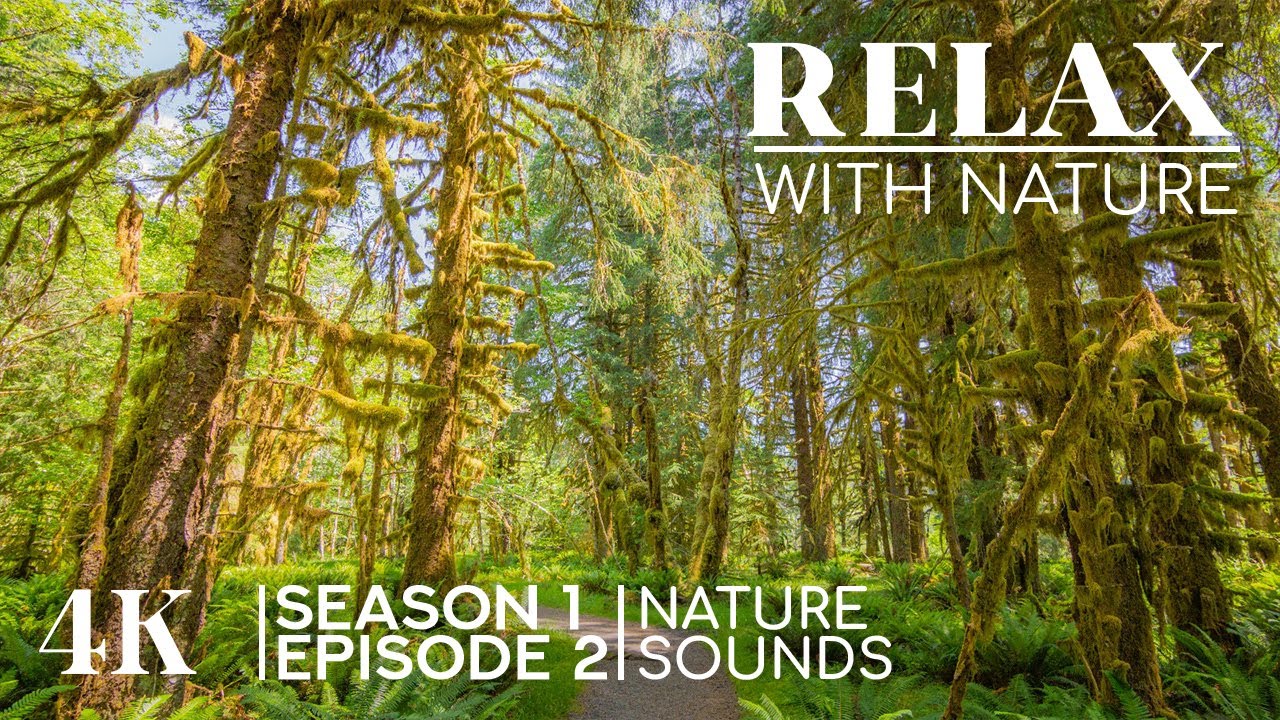 True Beauty of Planet Earth - 4K Sceneries + Calming Sounds - RELAX WITH NATURE - Season 1 Episode 2