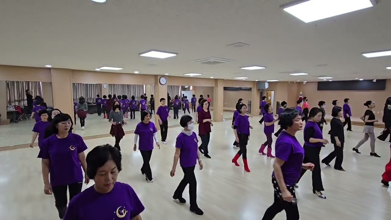 Body to Body Linedance/ Beginner/바디투바디 라인댄스