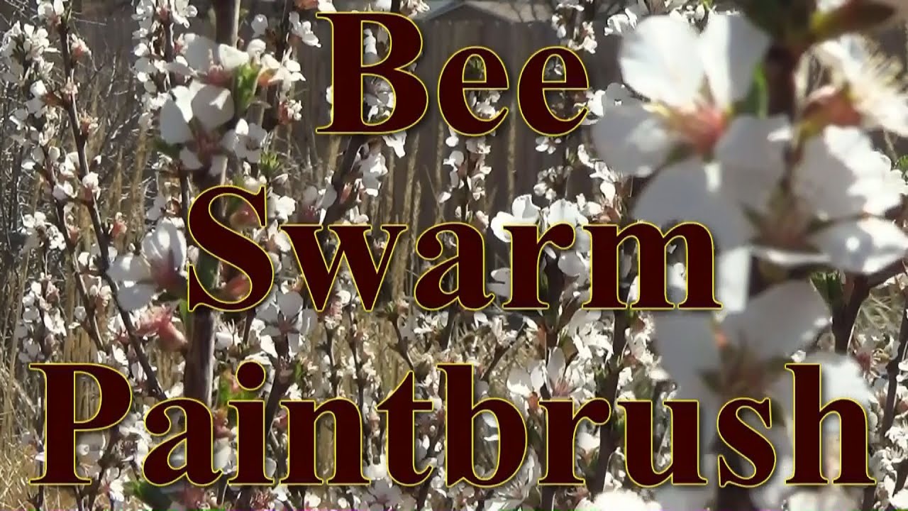 Bee Swarm Paintbrush - Muvipix Cut