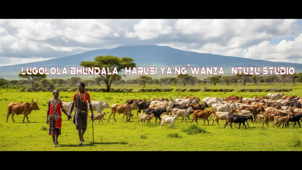 LUGOLOLA BHUNDALA   HARUSI YA NG`WANZA   NTUZU STUDIO