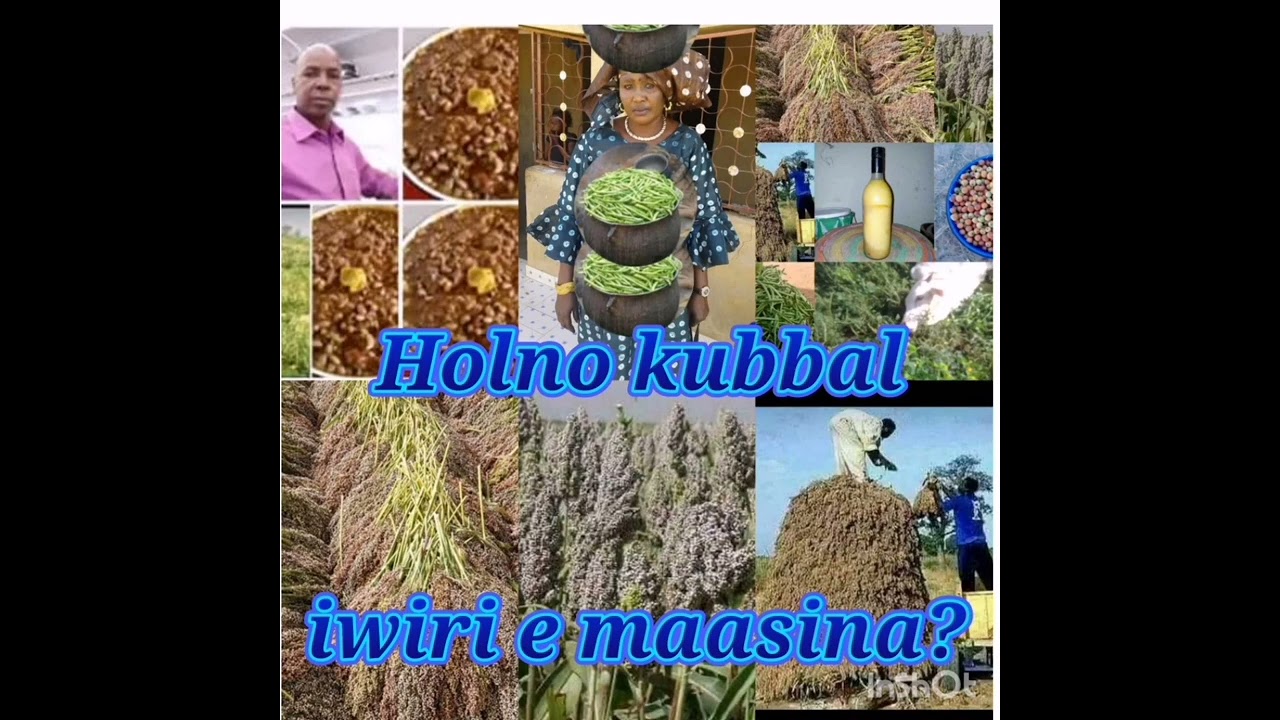 samba demba diadio ba,daarol silaamaka aarɗo