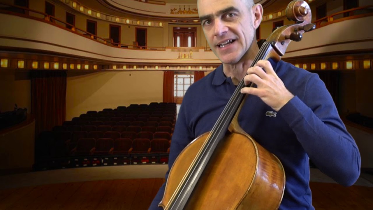 IL VIOLONCELLO