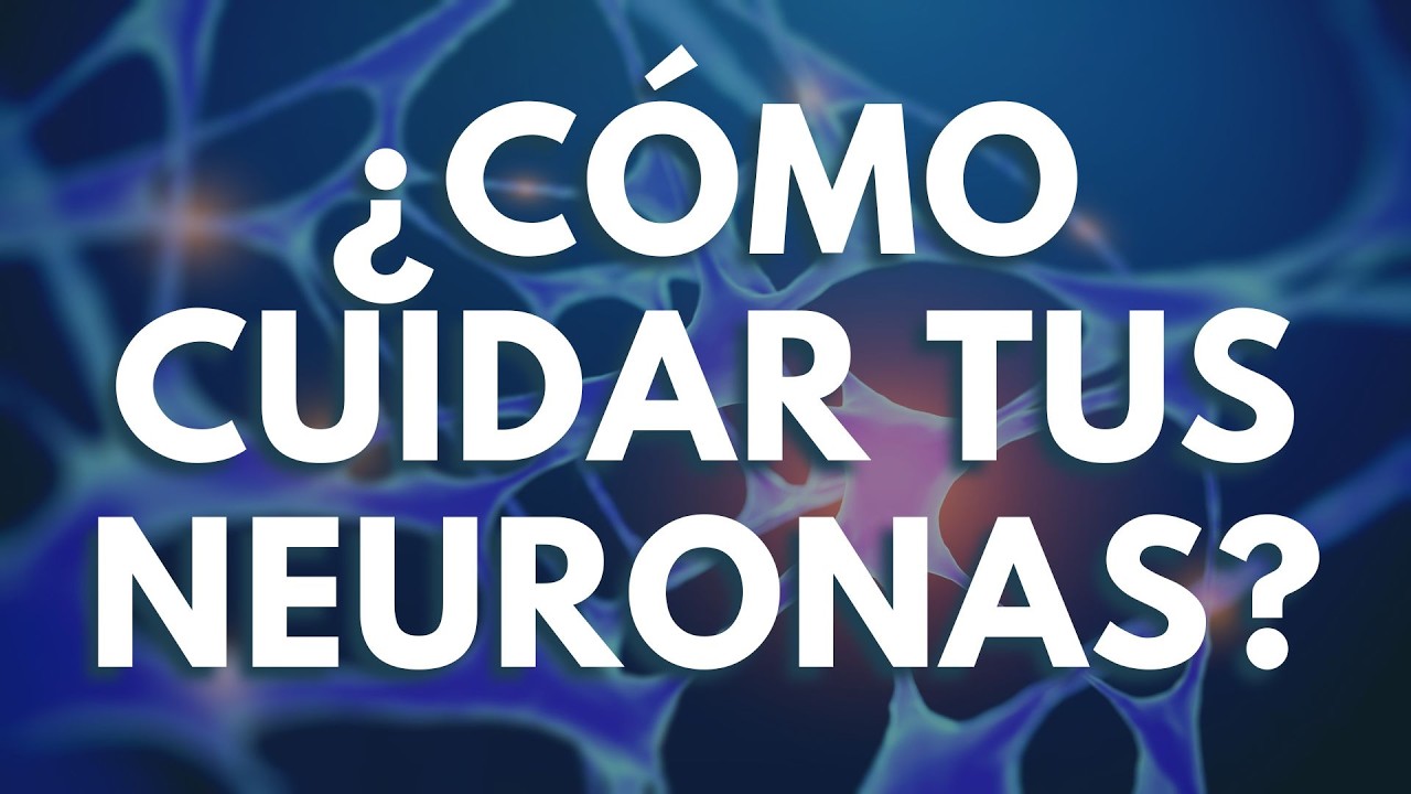 ¿Se pueden REGENERAR las neuronas? Cómo cuidar tu cerebro y envejecer con lucidez