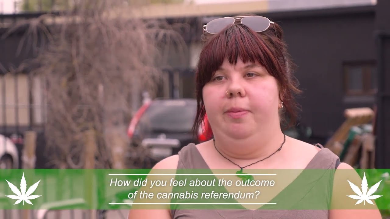 Public Opinion on NZ's Cannabis Referendum 2020