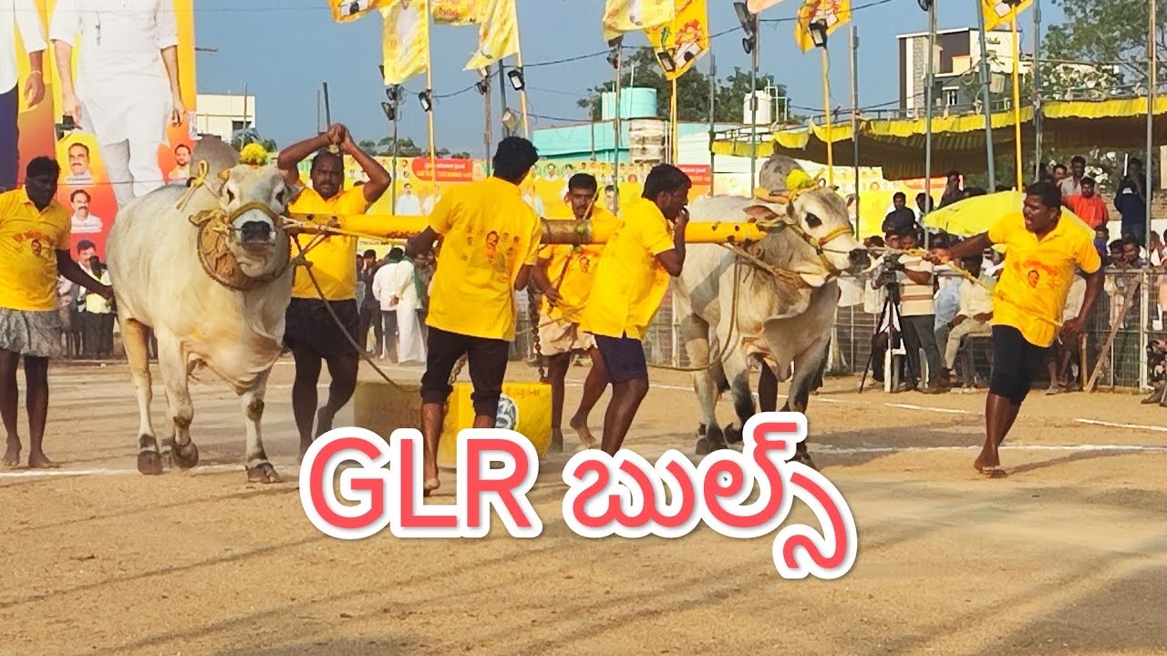 చిలకలూరిపేట సబ్ జూనియర్ విభాగంలో 1వ జత GLR బుల్స్
