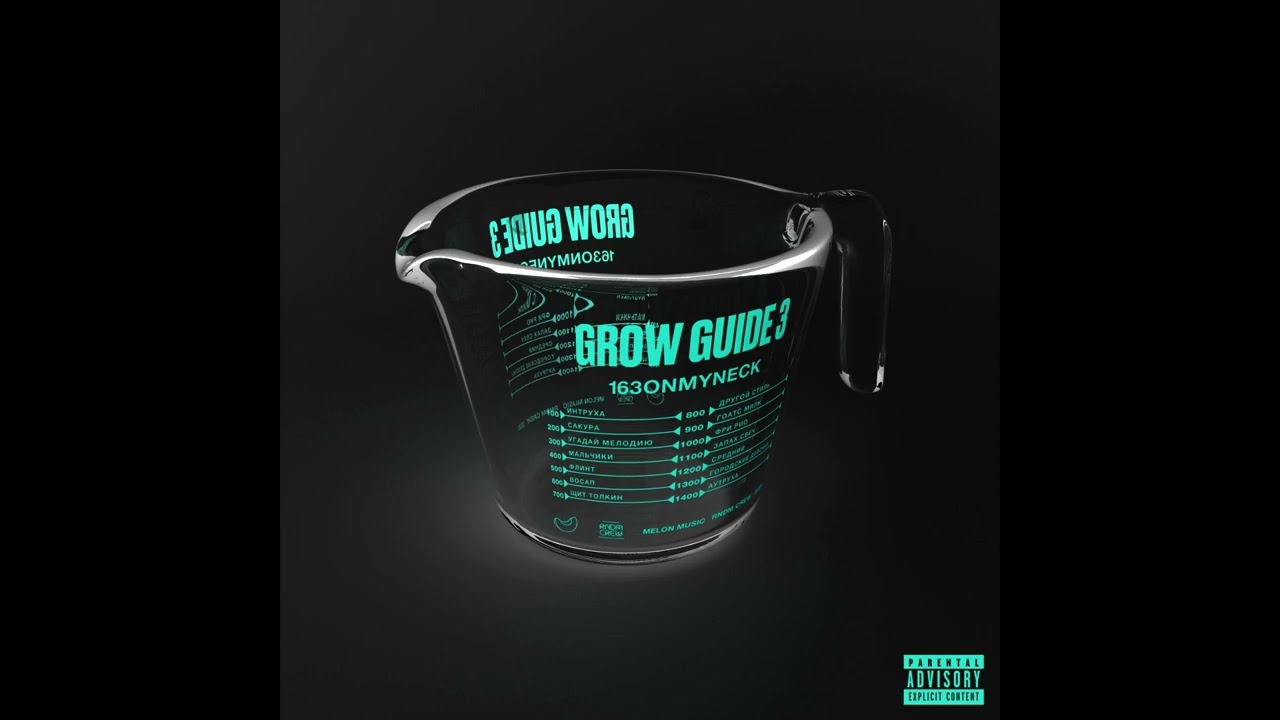 [free for profit] 163ONMYNECK x GROW GUIDE 3 Type Beat - 