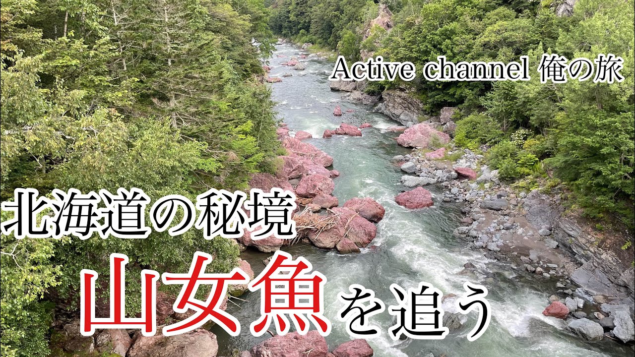 北海道の秘境なる川で山女魚を追う