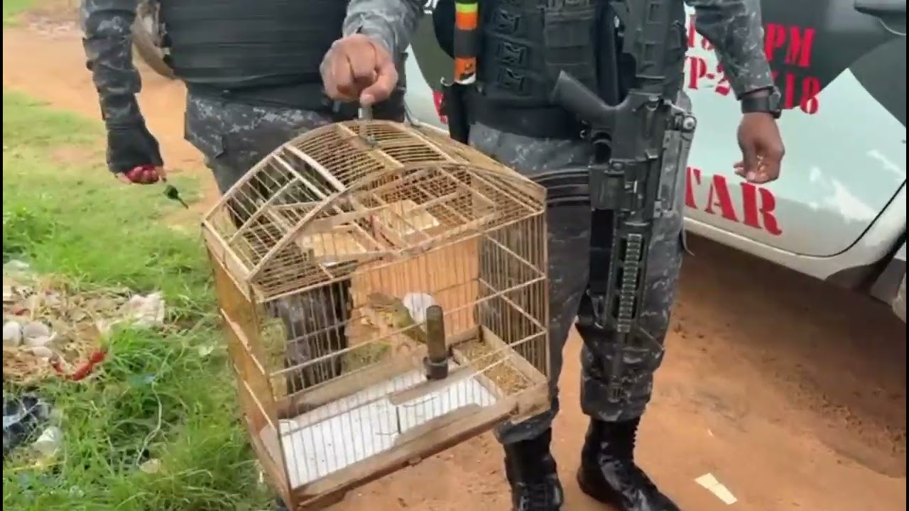 Bloco da polícia militar - boca de fum0 no Barreiro no bairro areal