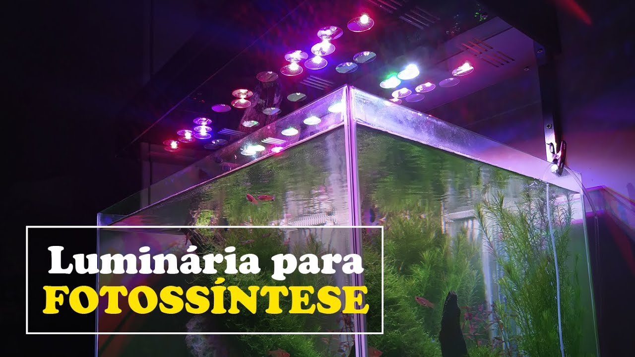 Luminária Caseira de Led Passo a Passo! Projetada para fotossíntese das plantas do aquário.