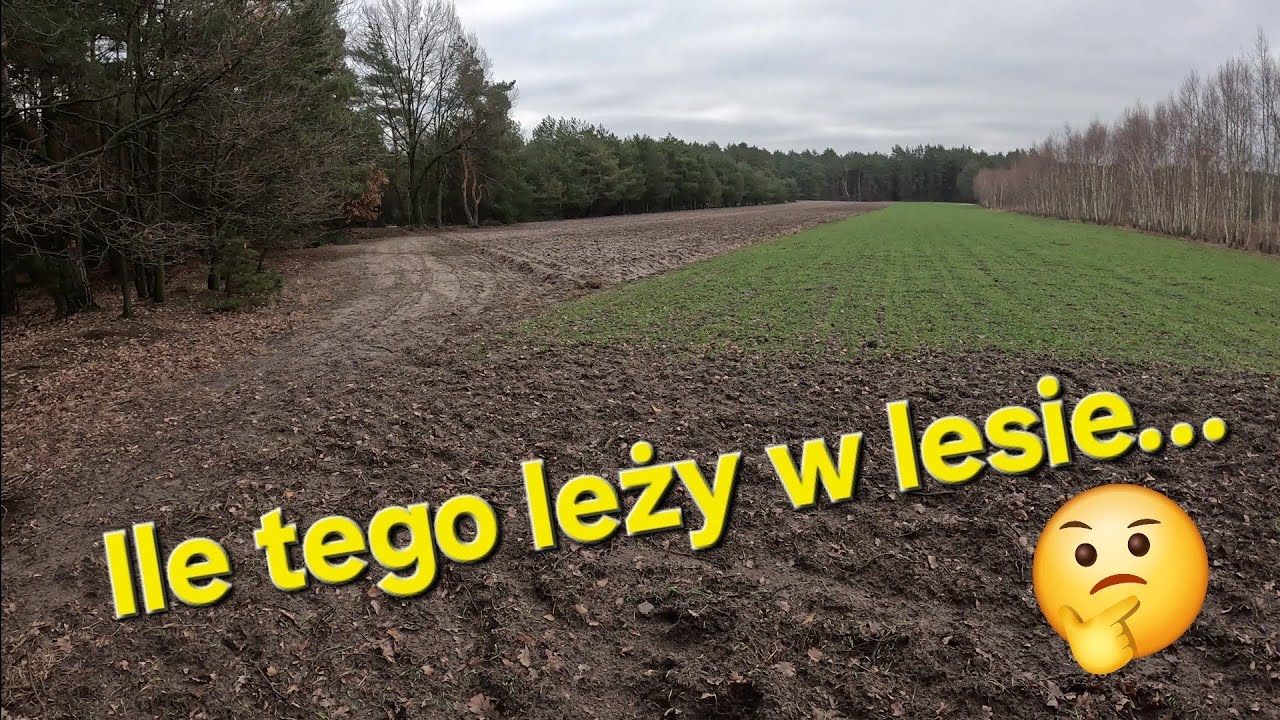 Ile tego leży w lesie ....