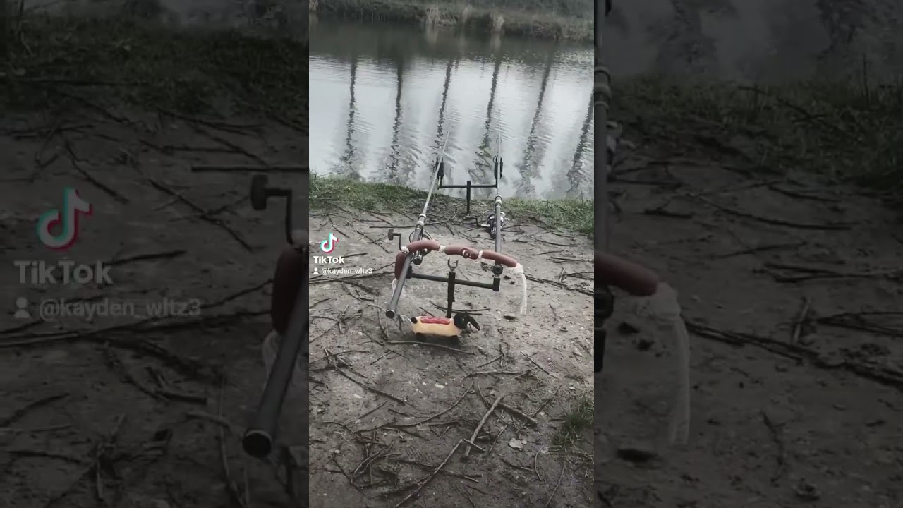 ignore buzz bars couldn't keep the rods in the water