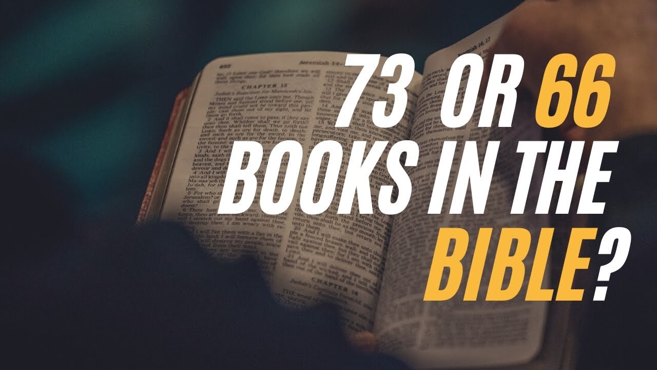 Why does the Catholic Bible have 73 books and the Protestant Bible have 66 books?