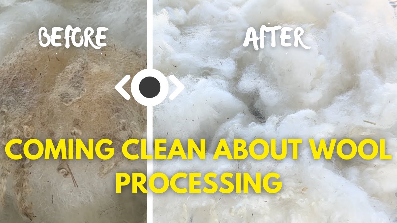 Kickstart Your Tour de Fleece: Essential Wool Scouring Techniques!