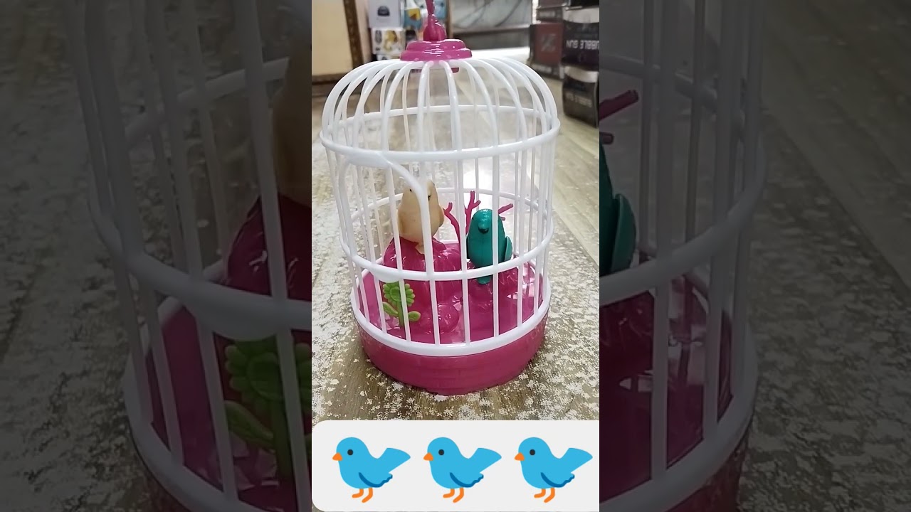 talking birds!! toys !! 