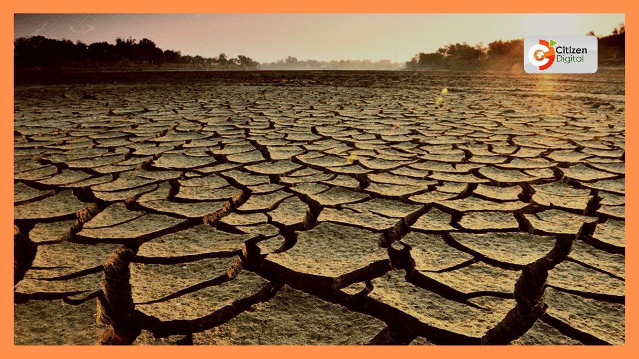Northern Kenya MPs warn of drought, urge disaster declaration