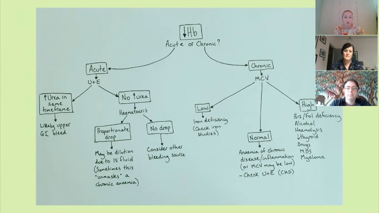 Anaemia: the geriatrician's approach - Bite sized learning from the MDTea Help! Series