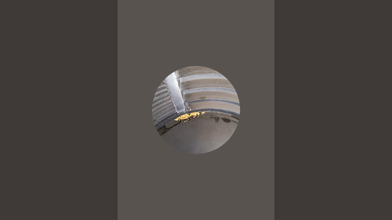 Asakura Mining & Prospecting is live! ~ 2-24-26