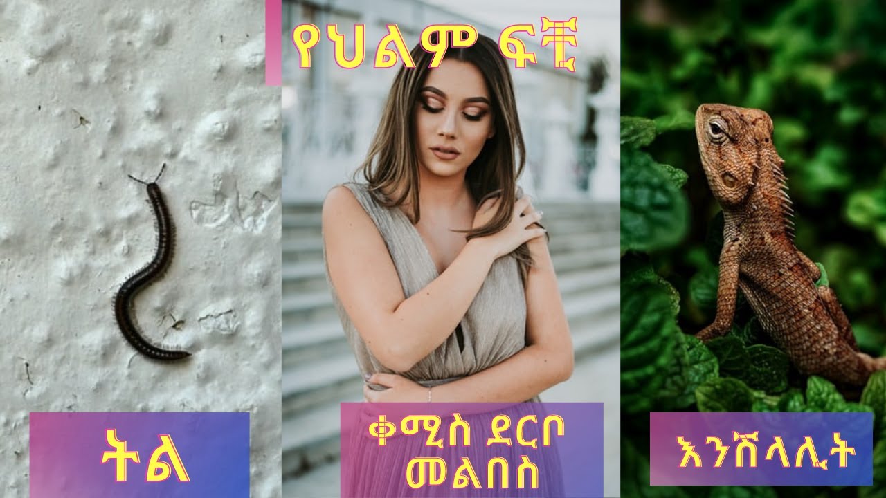 የህልም ፍቺ :- እንሽላሊት / ትል / ቀሚስ ደርቦ መልበስ