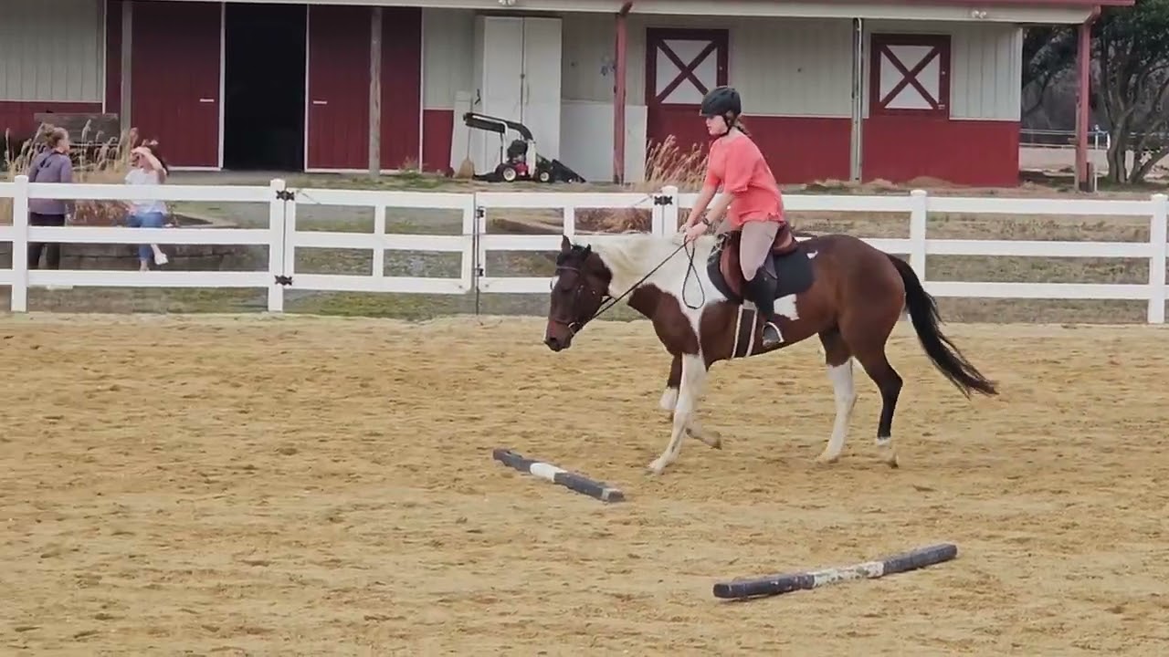 2026 show #1 Sydney deaderick and mack novice youth equitation over fences ( any height ) 