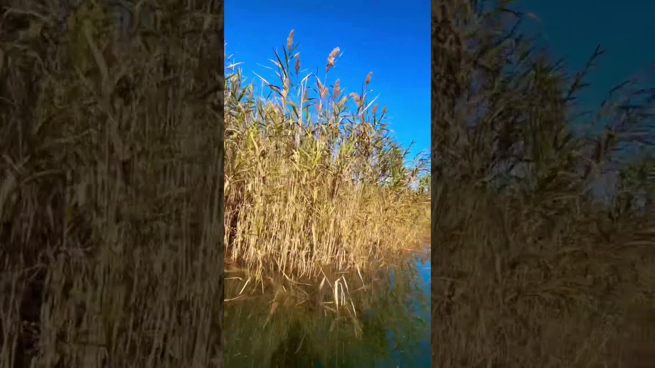 Quiet kayaking