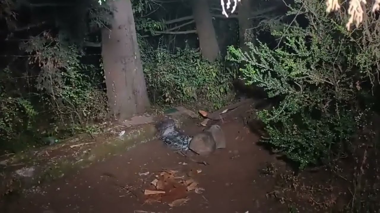 LA BRUJA DE LA MANCION 