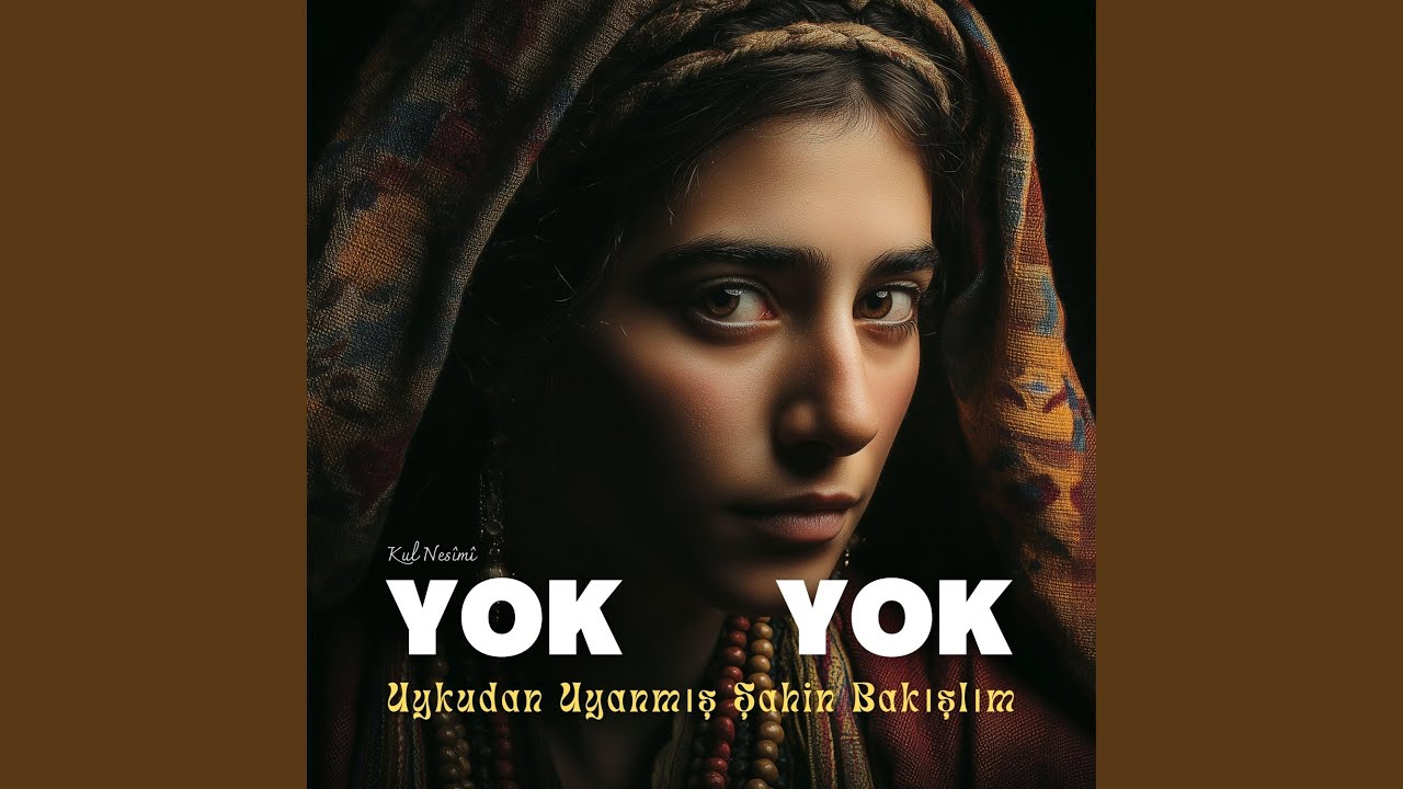 Yok Yok (Uykudan Uyanmış Şahin Bakışlım)