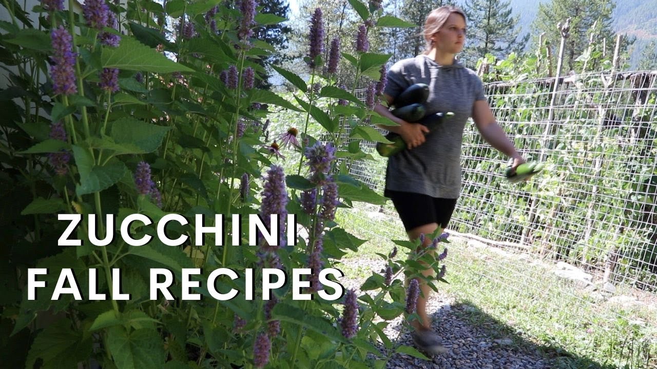 Zucchini Recipes Easy Fast | Best Ways to Use Zucchini