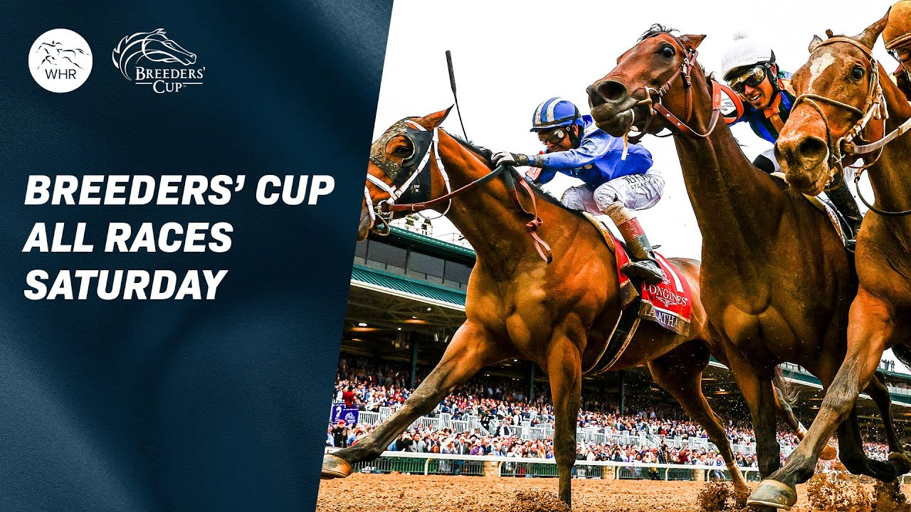 Кубок заводчиков, который стоит посетить! | Flightline и Cody's Wish — звезда Keeneland | Суббота...