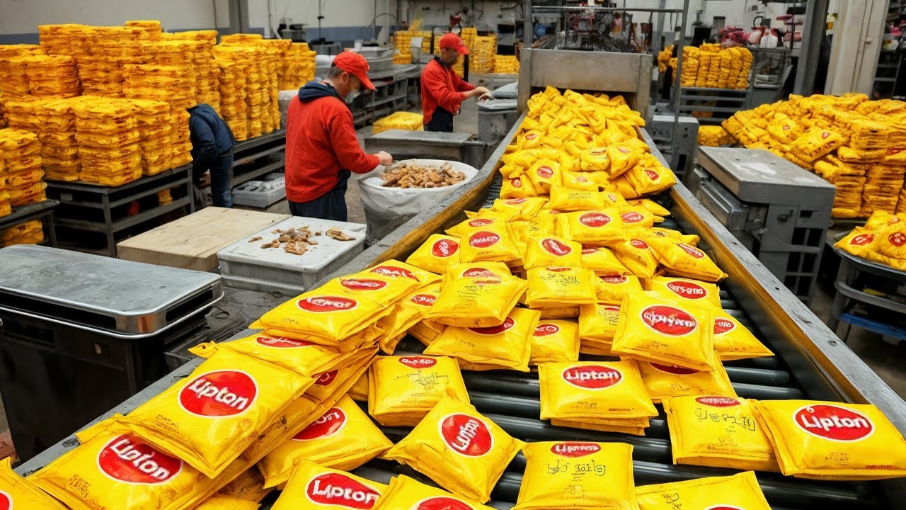 How Millions of Lipton Tea Bags Are Made in Factory | Tea Processing, Packaging & Production Line