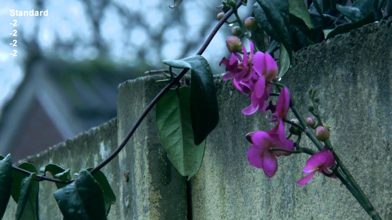 gh2 film modes -2 to +2