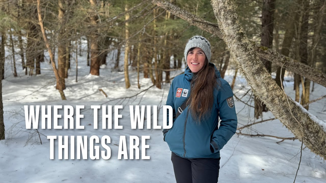 Where the Wild Things Are [Stuck in Vermont 737]