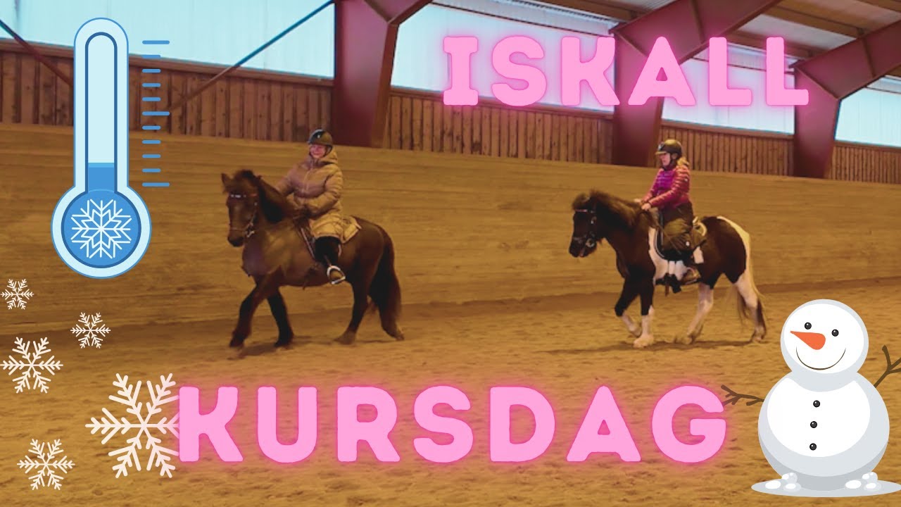 STALLVLOGG: Kurs hos Anne Fornstedt, Hammarbyhästar