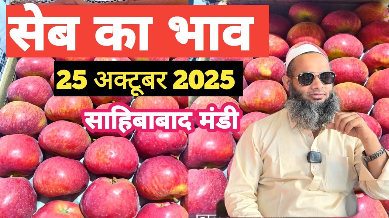 25 October 2025 🍎सेब का भाव साहिबाबाद मंडी | today apple rates in mandi #today #apple #fruit #mandi