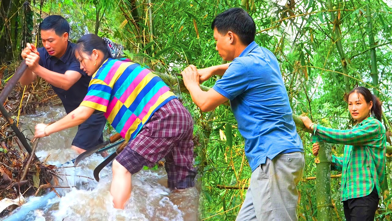 Rainy Season Struggles: TAN Builds Chicken Coop for AN – Will They Survive the Storm Together?