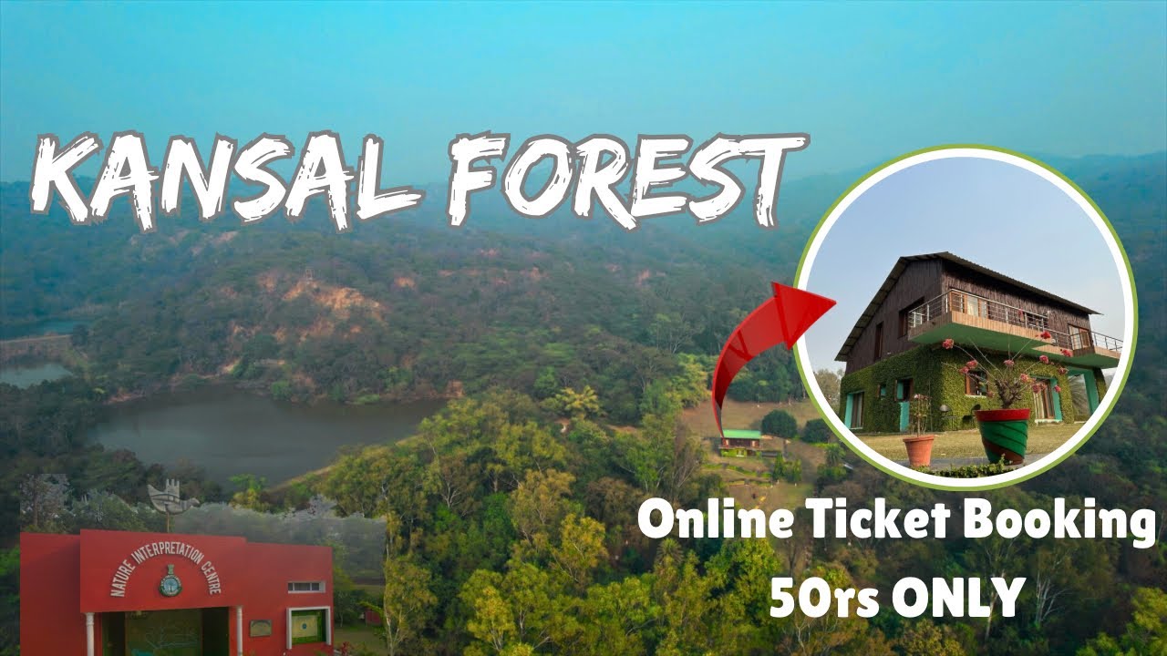 Kansal Forest | Log Hut | Sukhna Wildlife Sanctuary | Full Tour Guide